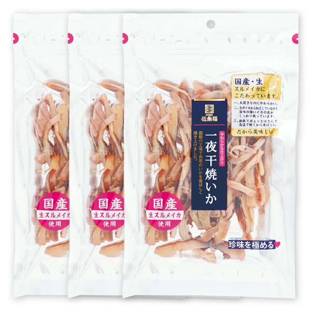 定期購入）一夜干焼いか×３袋セット外観イメージ